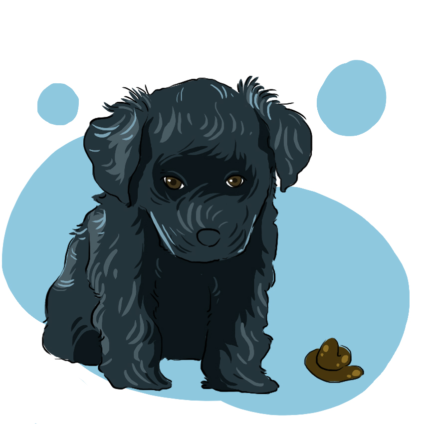 embeddedIMG_Here_s-How-to-Deal-With-a-Sick-Puppy_850px-IM4.jpg
