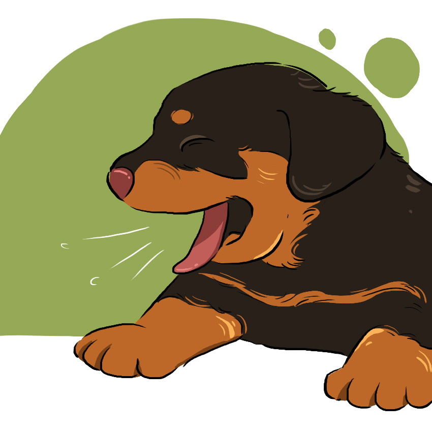 embeddedIMG_Here_s-How-to-Deal-With-a-Sick-Puppy_850px-IM5.jpg
