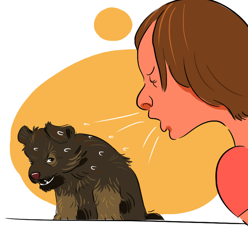 embeddedIMG_Here_s-How-to-Deal-With-a-Sick-Puppy_850px-IM7.jpg