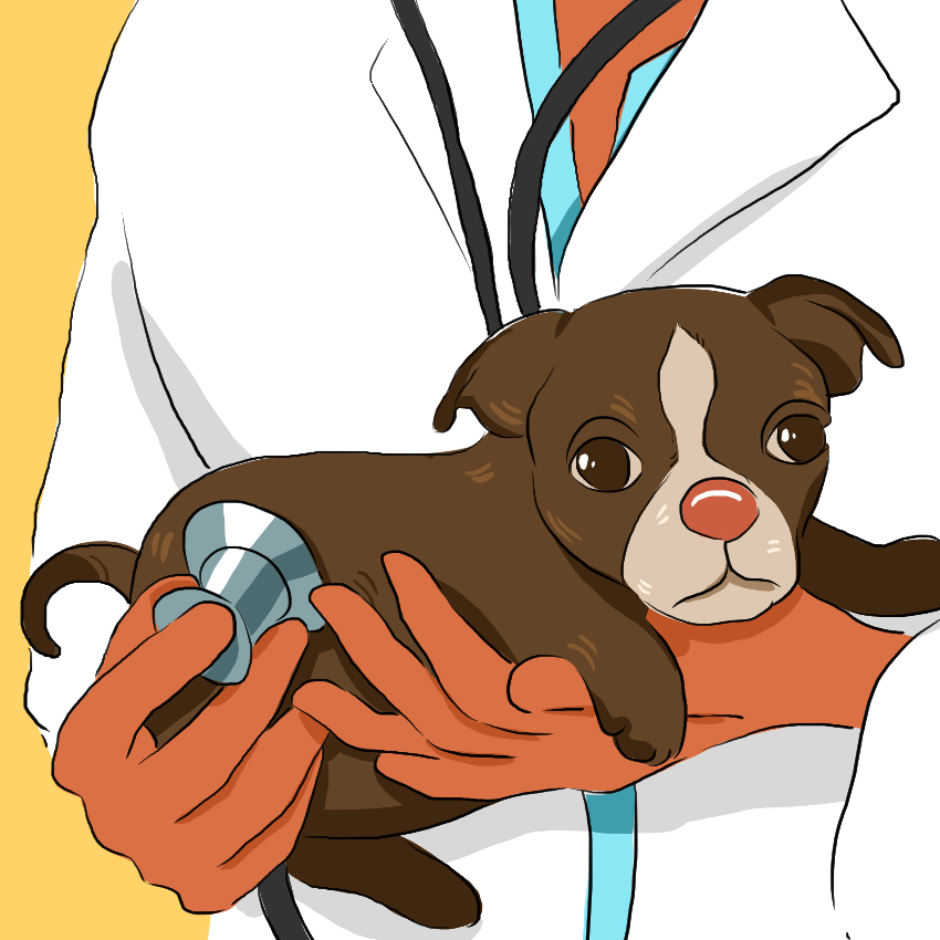 embeddedIMG_Here_s-How-to-Deal-With-a-Sick-Puppy_850px-IM8.jpg