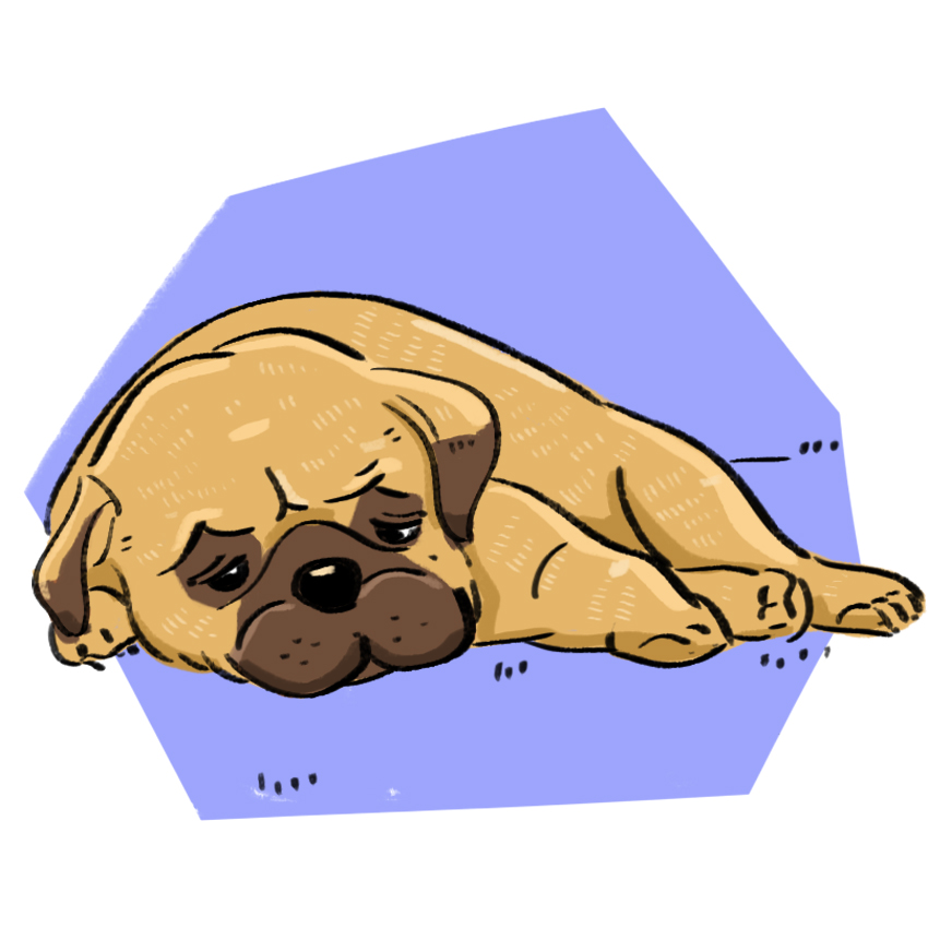 embeddedIMG_PuppyBlues_850px_1.jpg