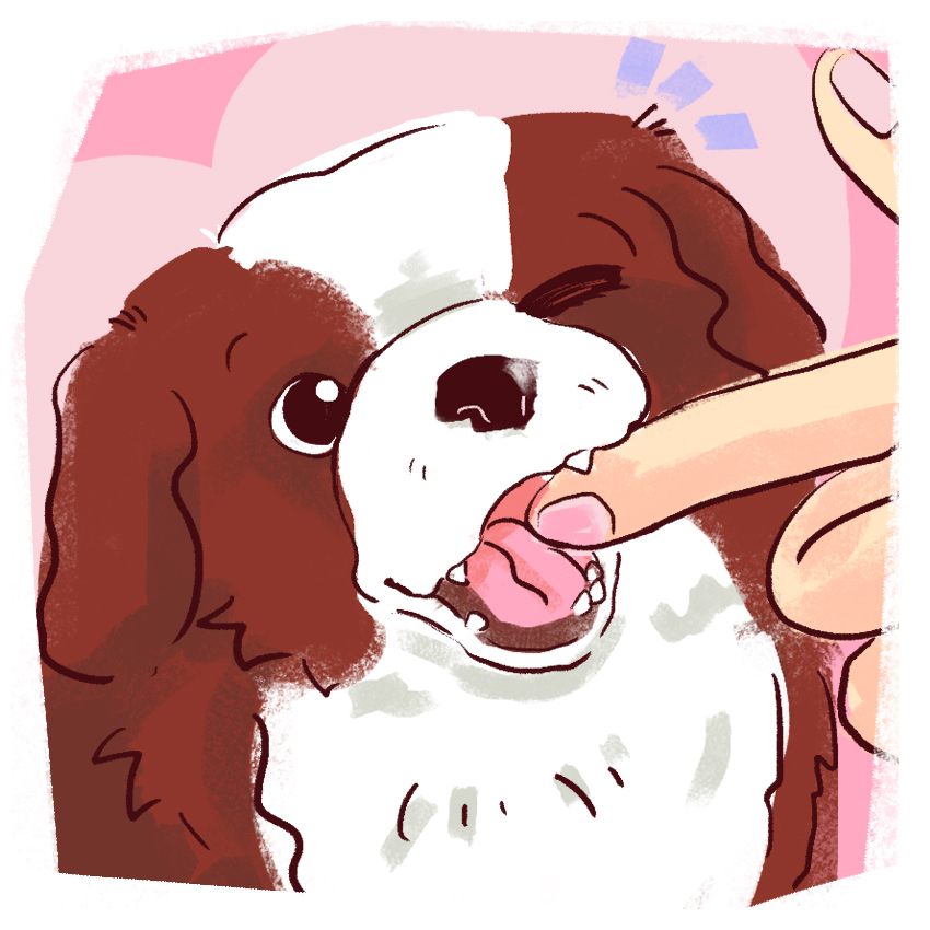 embeddedIMG_TeethingPuppy_850px_3.jpg