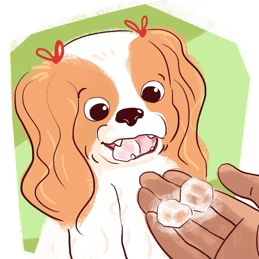 embeddedIMG_TeethingPuppy_850px_6.jpg