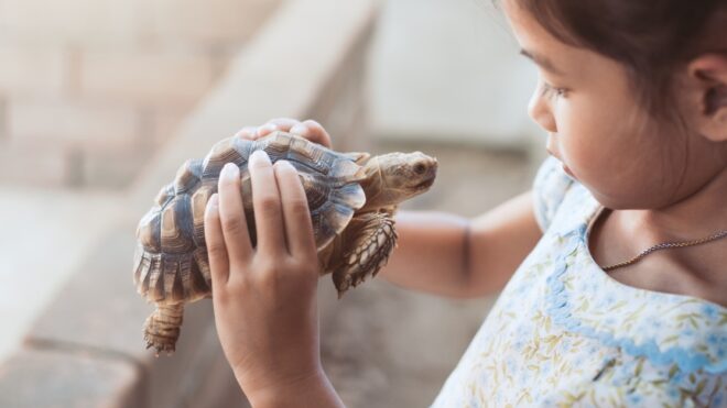 family-first-pets