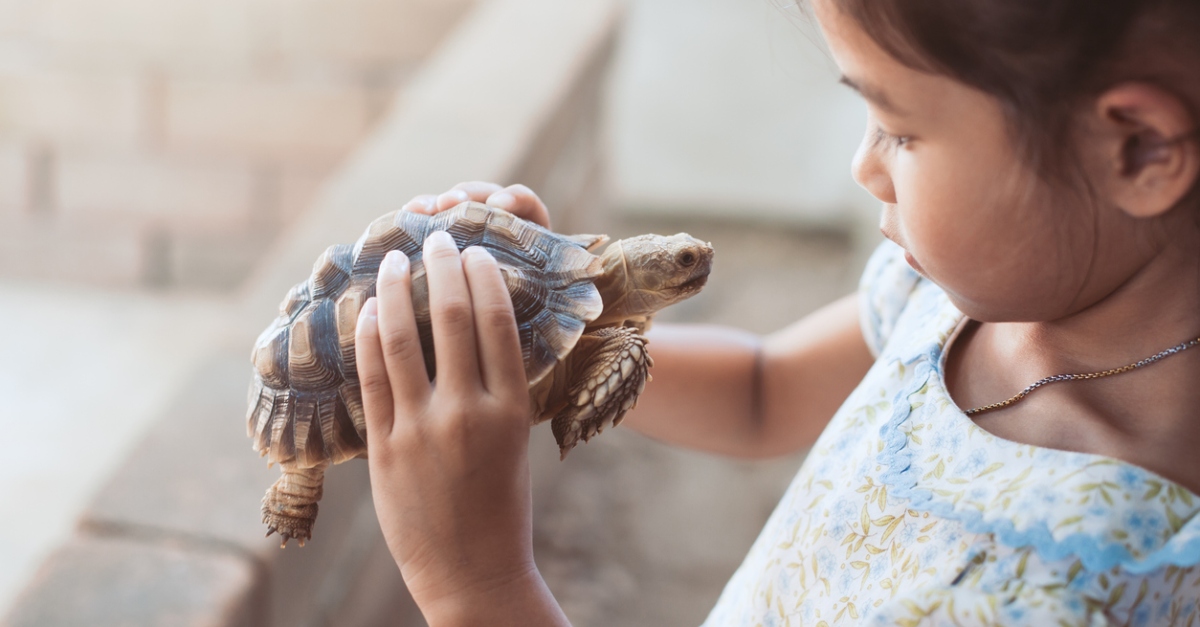 family-first-pets