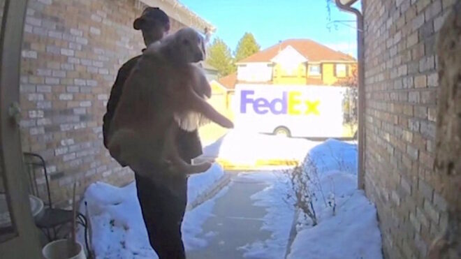 fedex