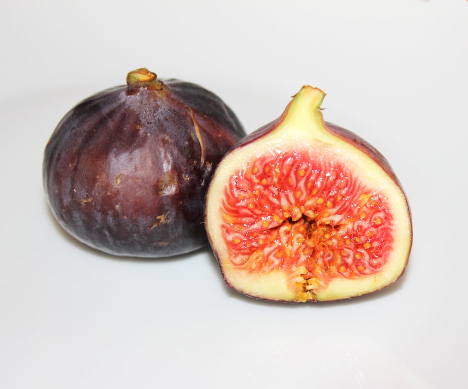 fig1.jpg
