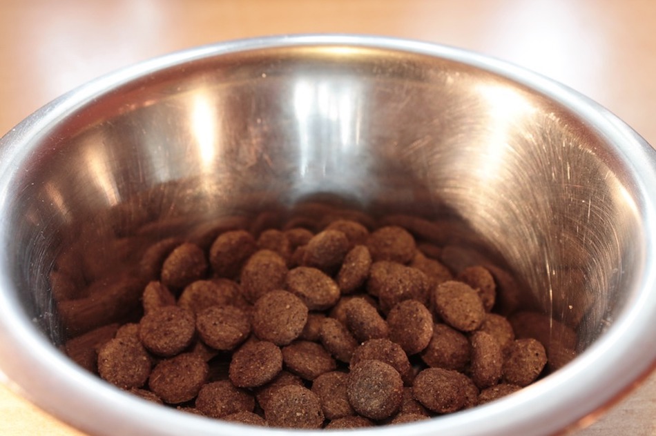food-bowl.jpg