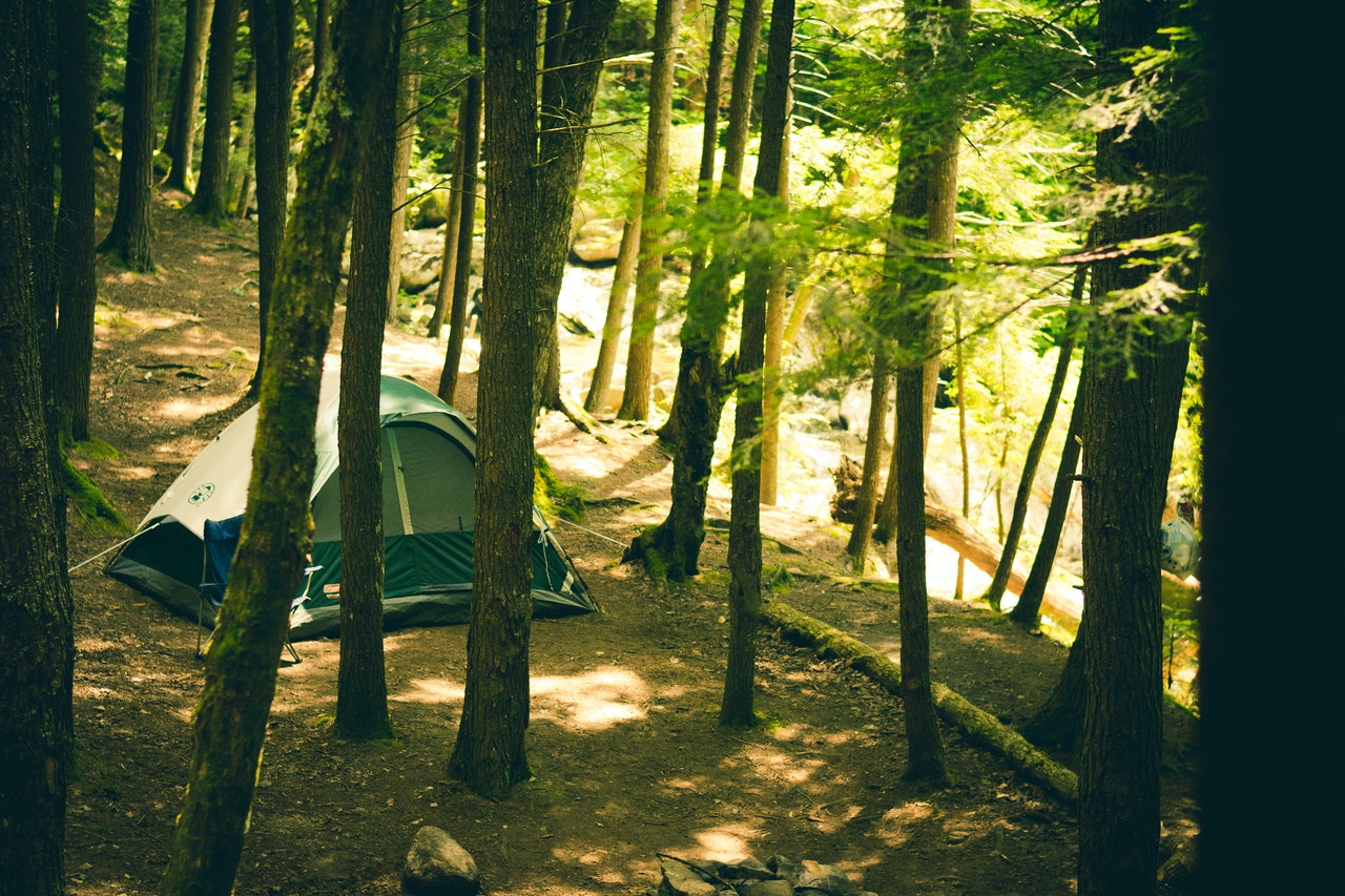 forest-trees-adventure-tent-6714.jpg