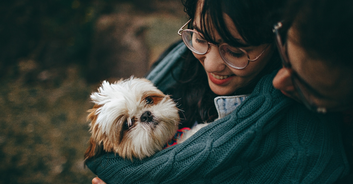 fostering-a-pet-hp