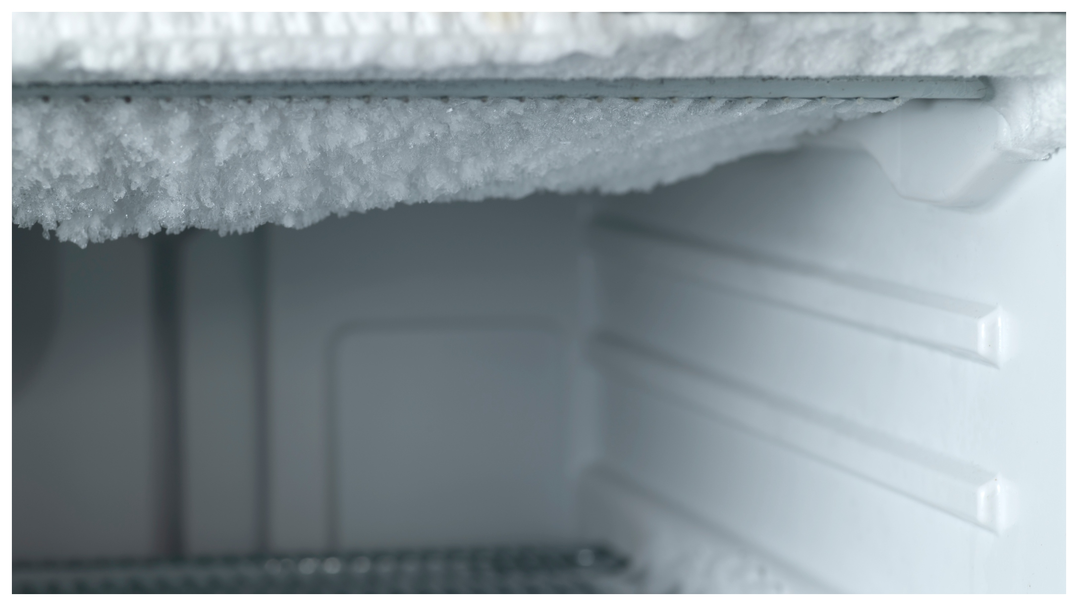 freezer-feature