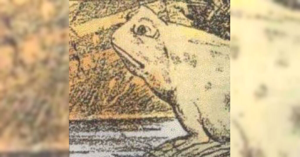 How To Spot The Hidden Horse In This Frog Optical Illusion