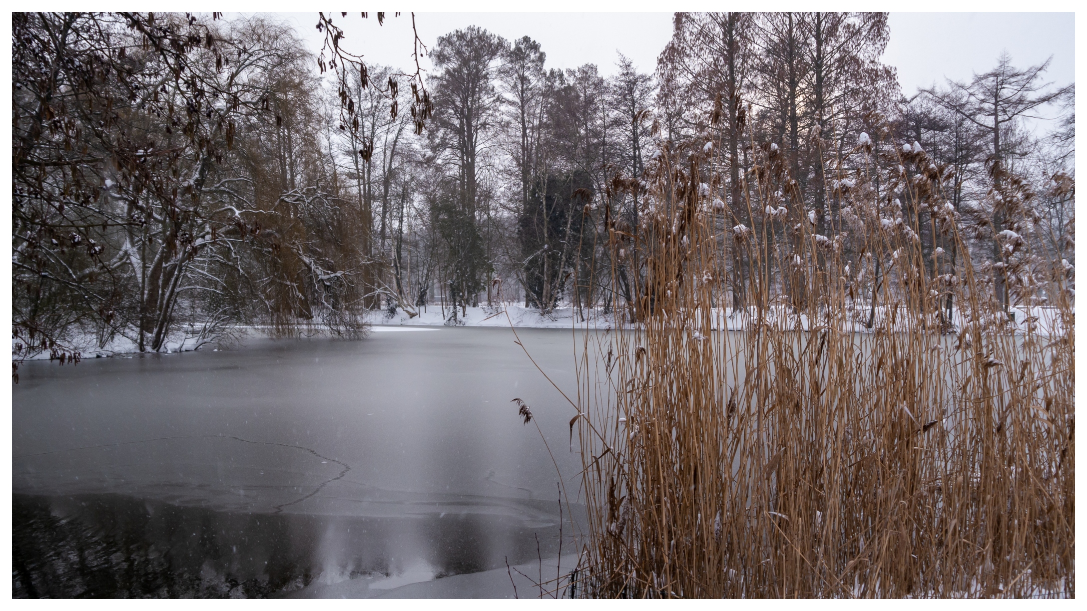 frozen-pond