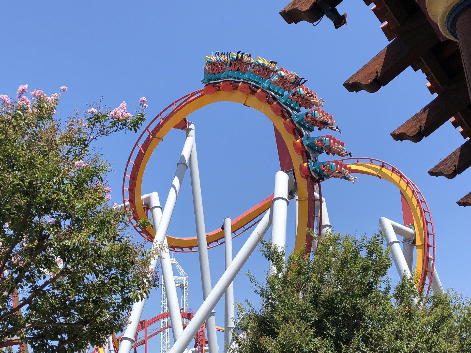 fun-roller-coaster-ride-at-knott-s-berry-farm-in-buena-park-california-it-was-a-beautiful-and-hot_t20_V7QGJ6.jpg