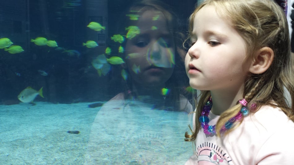 girl-and-fish.jpg