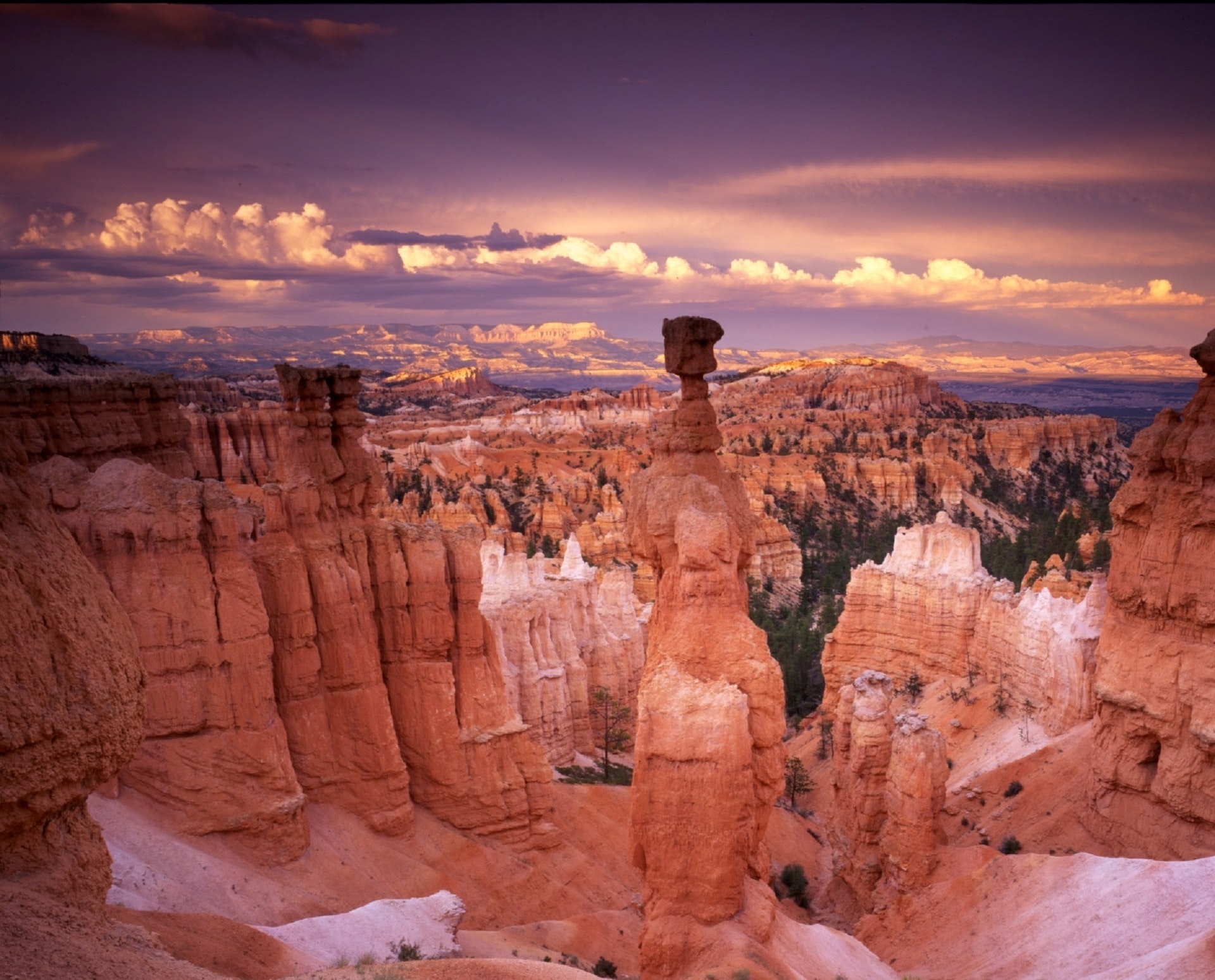 grand-canyon-during-golden-hour-161784.jpg