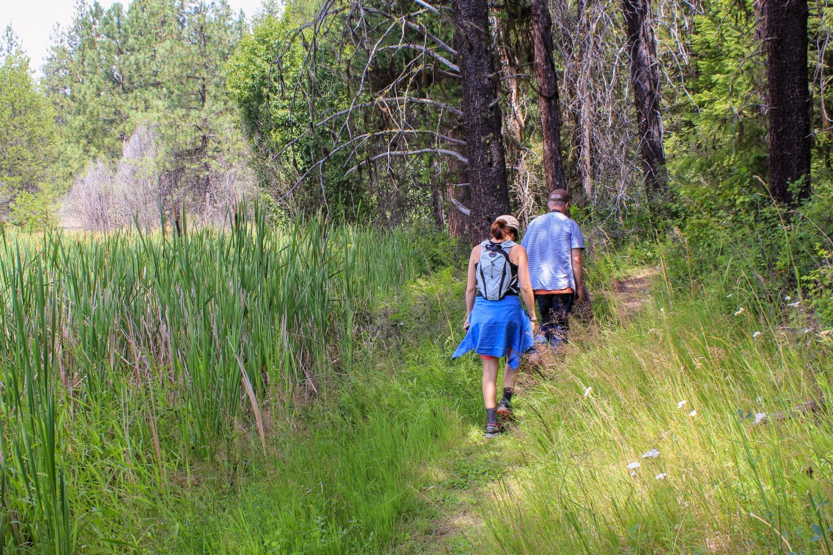 hike_hiking_couple_active_nature_forest_marsh_travel-423259.jpg