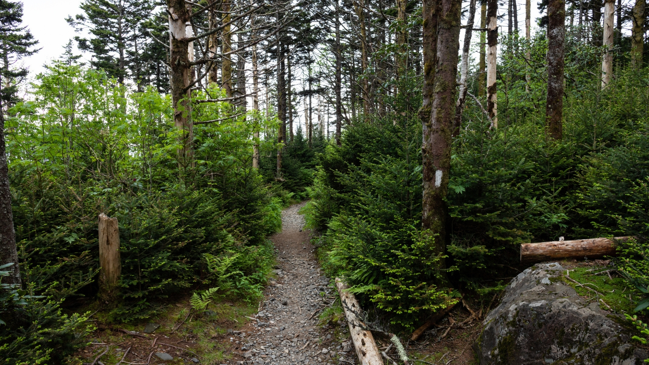 hiker-brian-laundrie-appalachian-trail