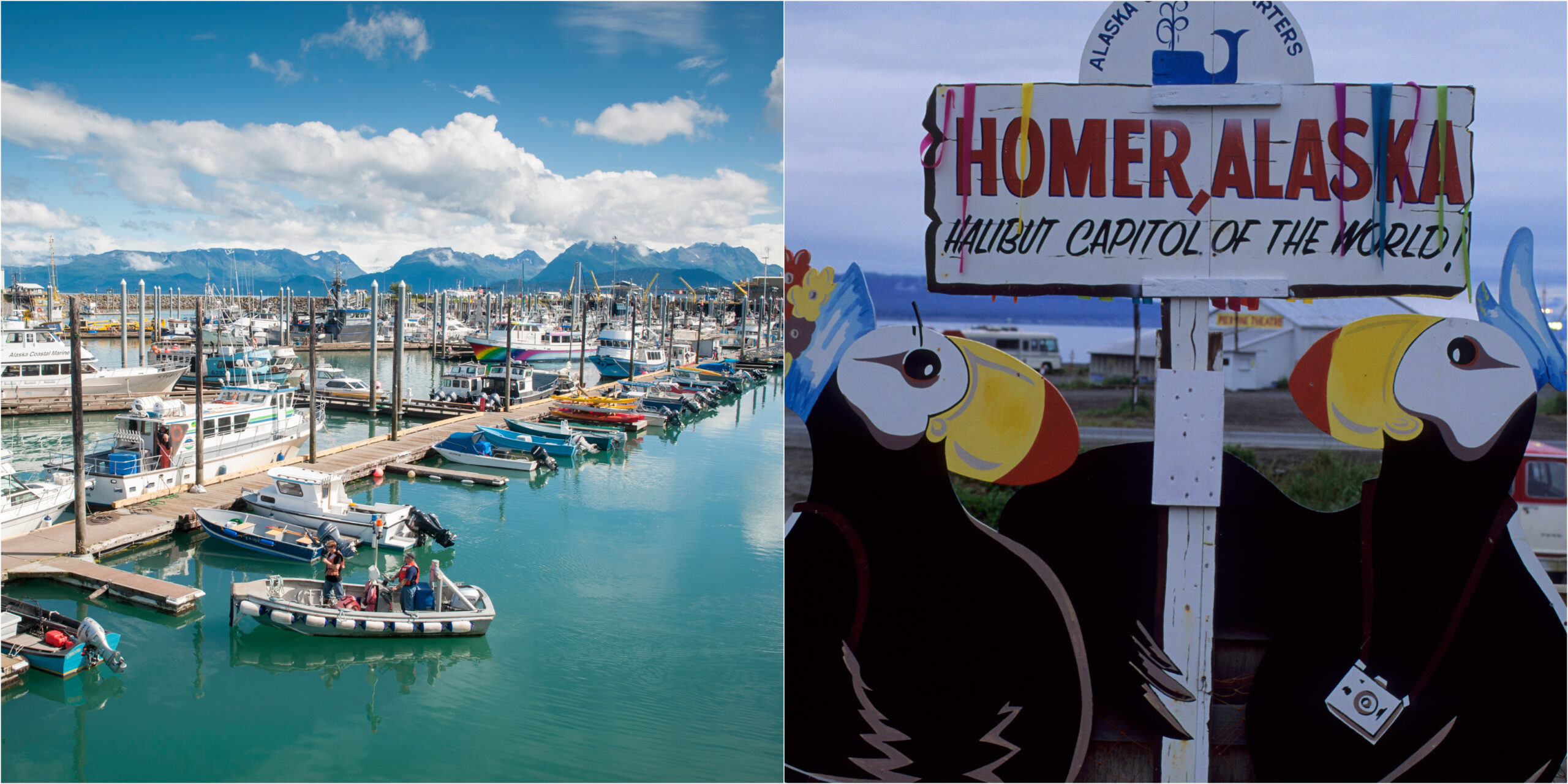 homer-alaska-2.jpg