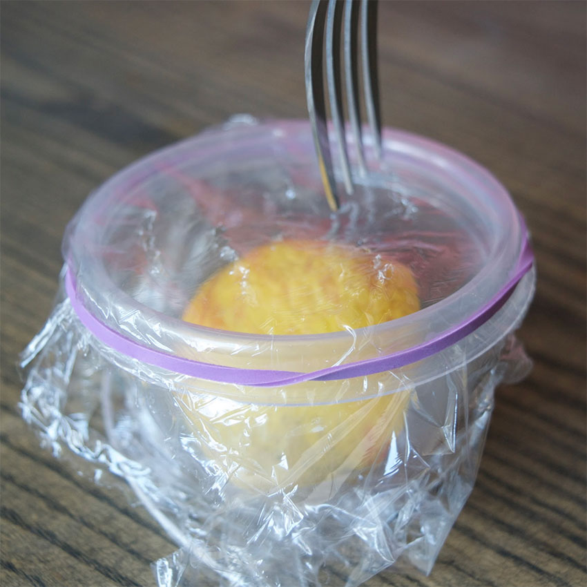 how-to-get-rid-of-fruit-flies-4.jpg