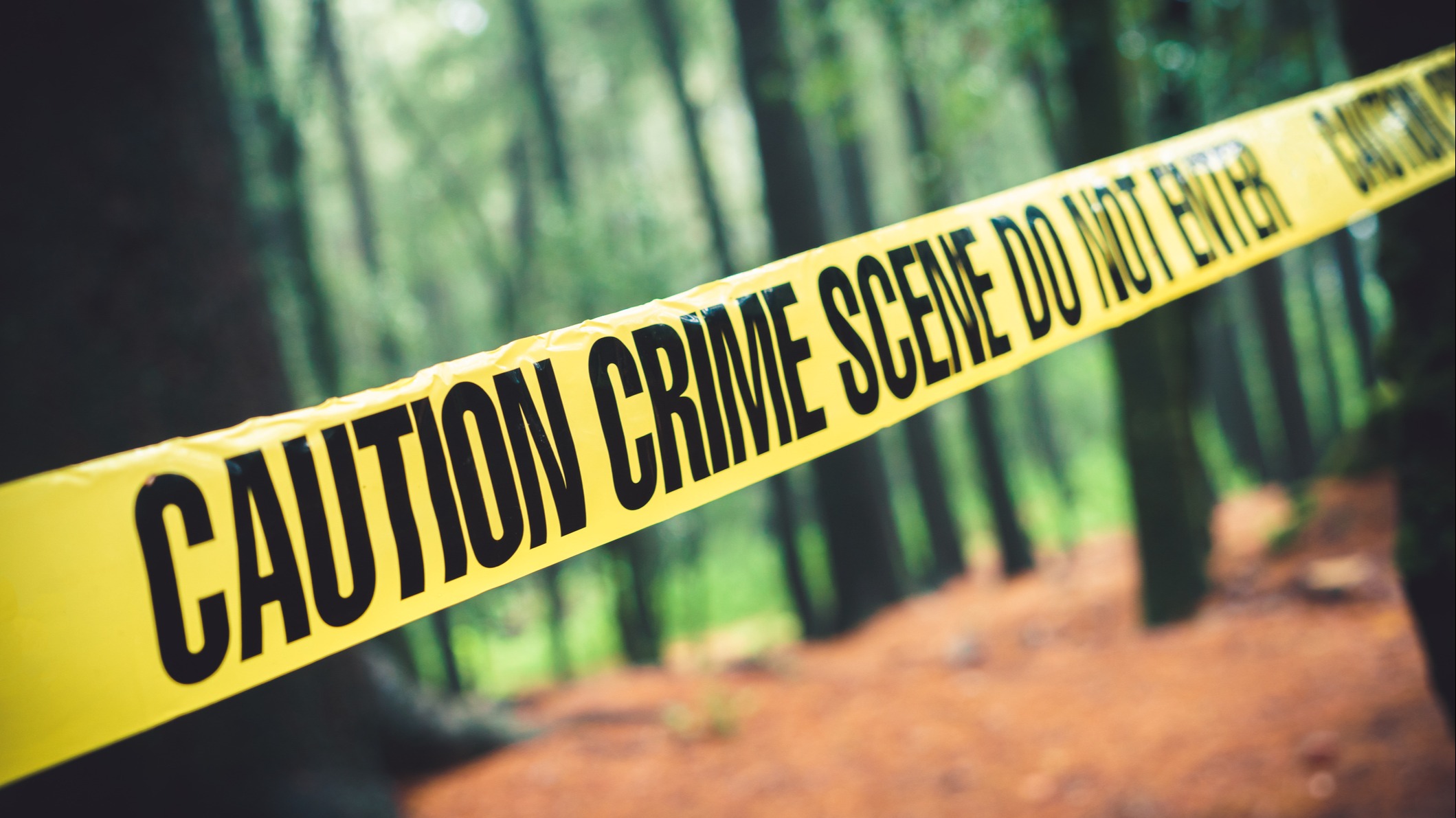 Woods_Crime_Scene_Forest