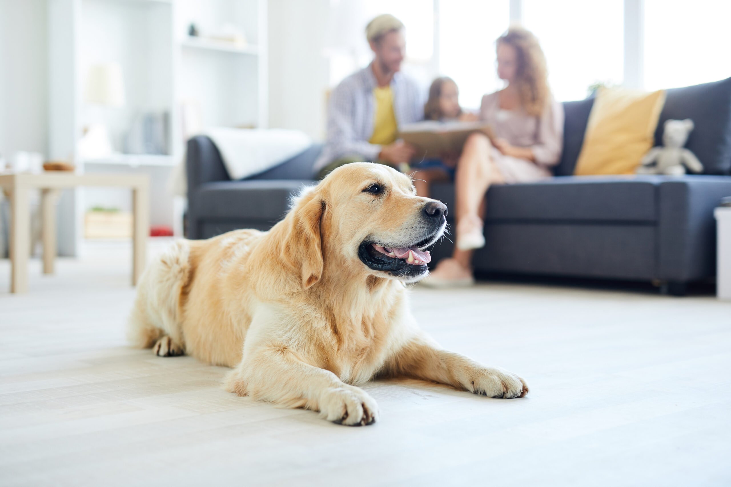 iStock-1030202818