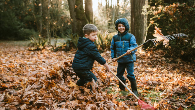 Boys Raking Up Autumn Leaves