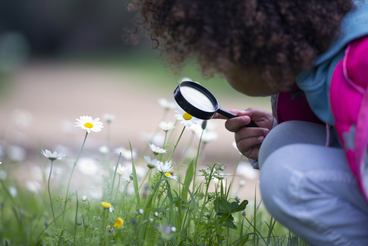 A curious girl looking at flowers / plants.