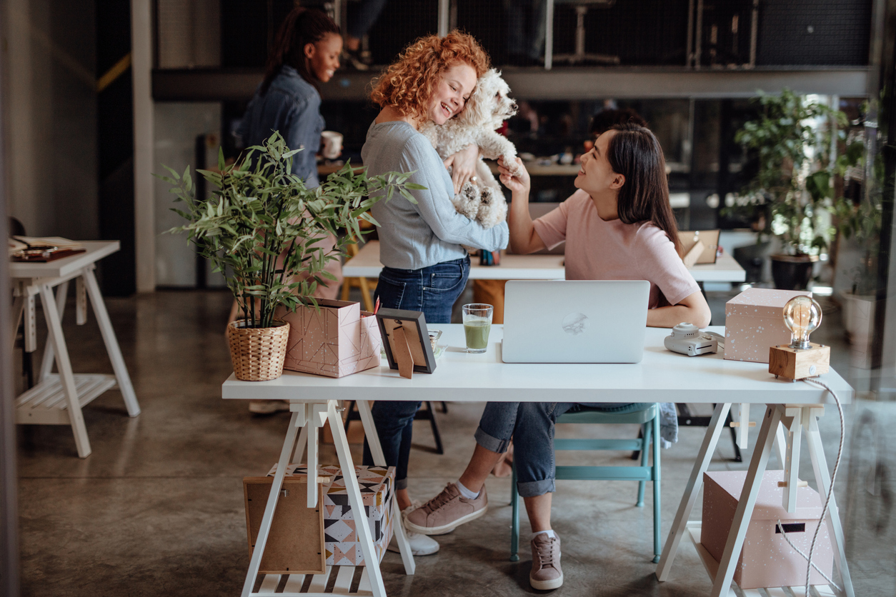 Two women playing with dog in modern office