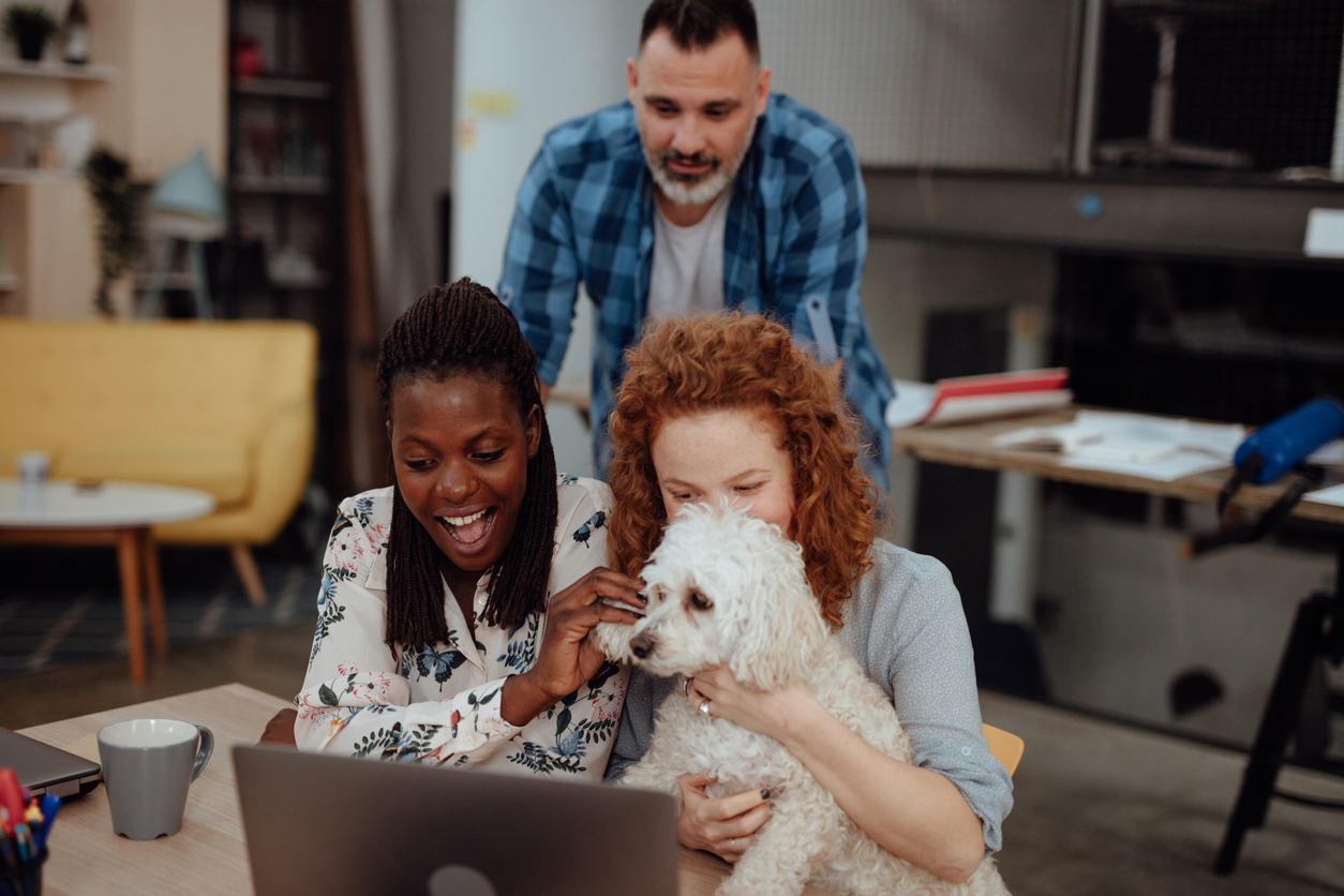 Business people looking at a screen during a video conference