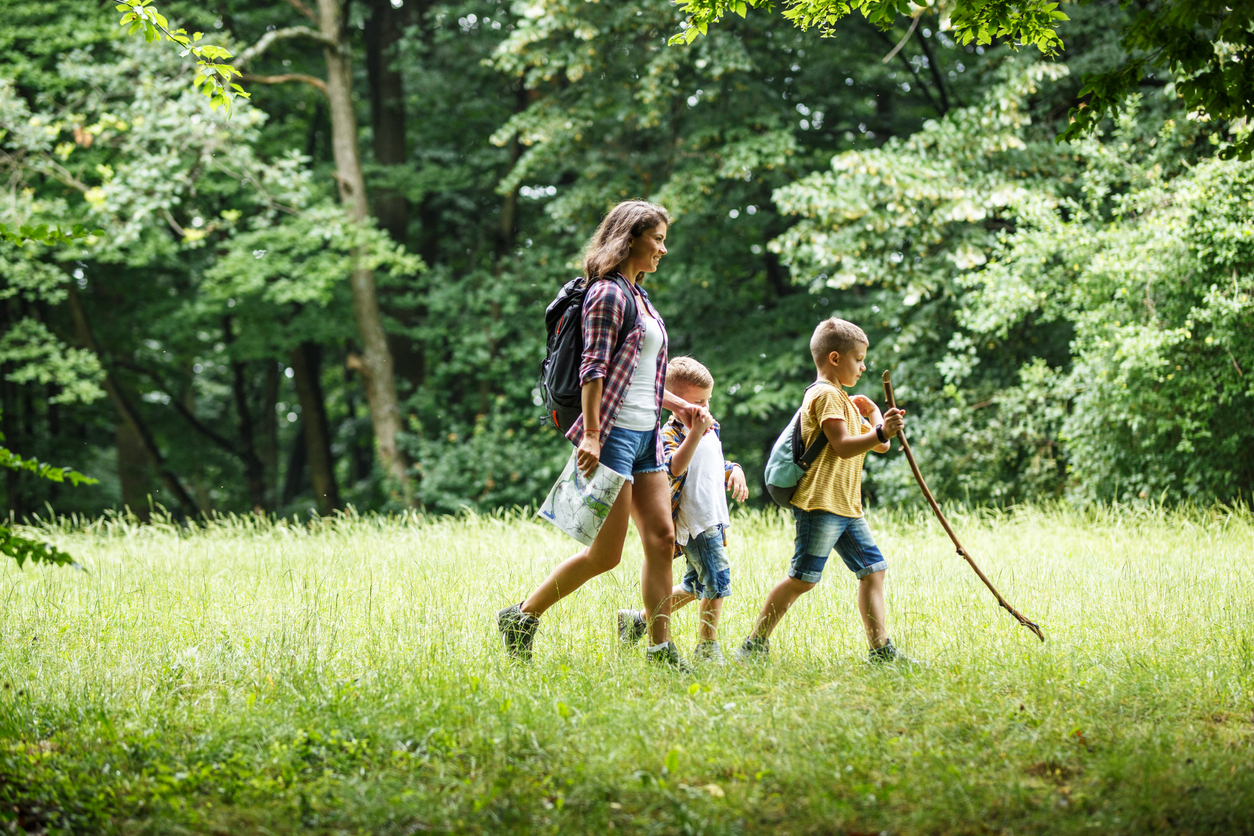 Mother and her little sons hiking trough forest .