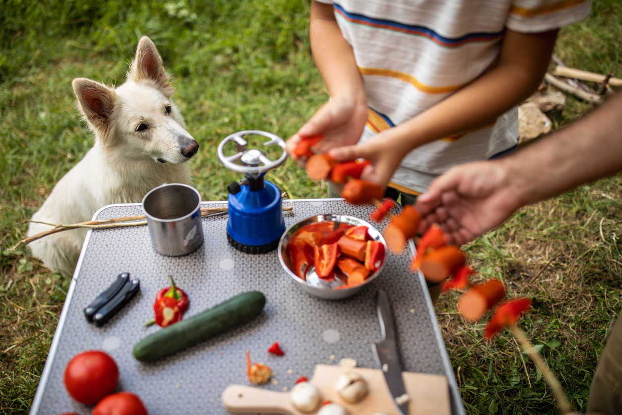 Making delicious skewers on camping in nature