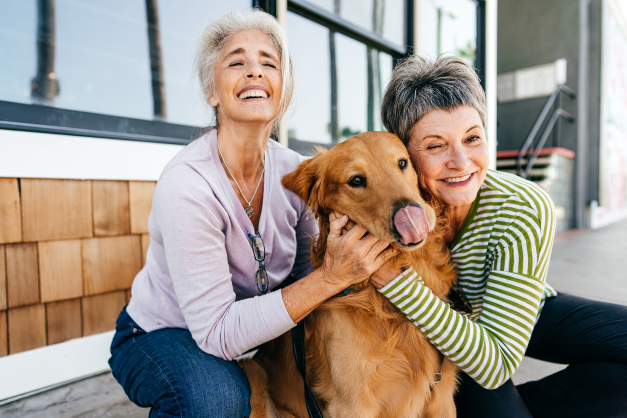 Happy and healthy life of dog owners