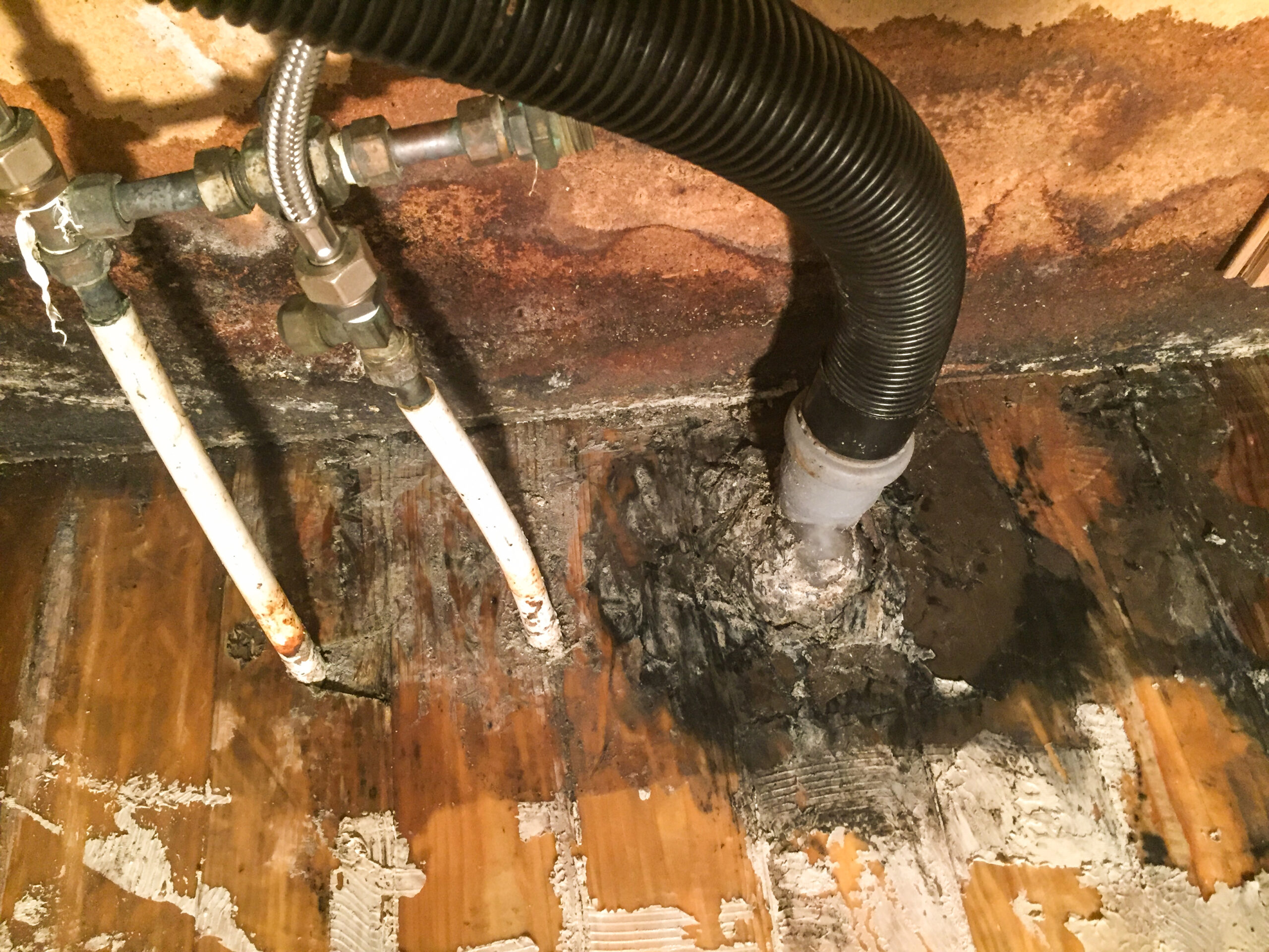 Water leak from the kitchensink causing damage to floor an wall with mold.