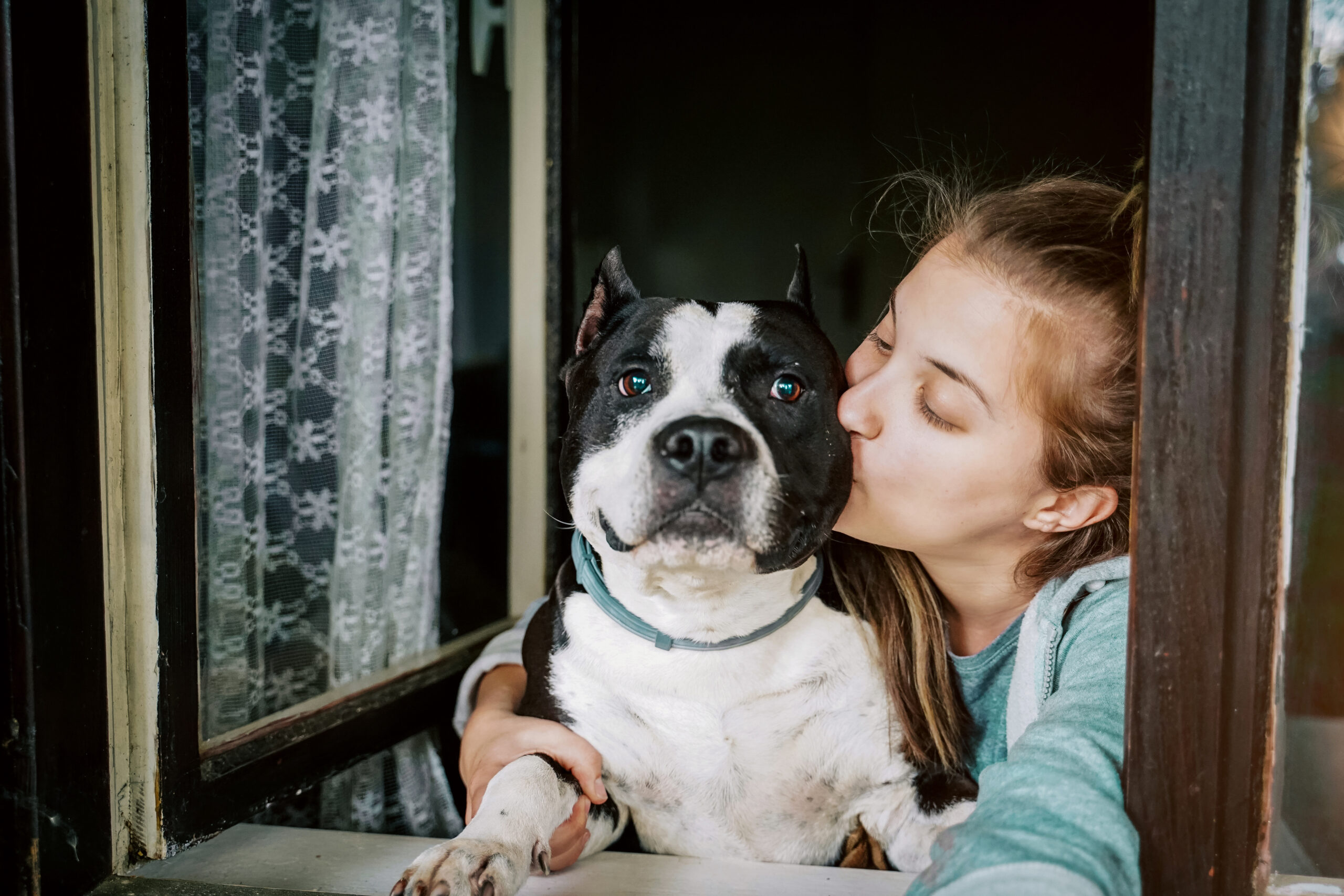 Dog and young female look out a home window