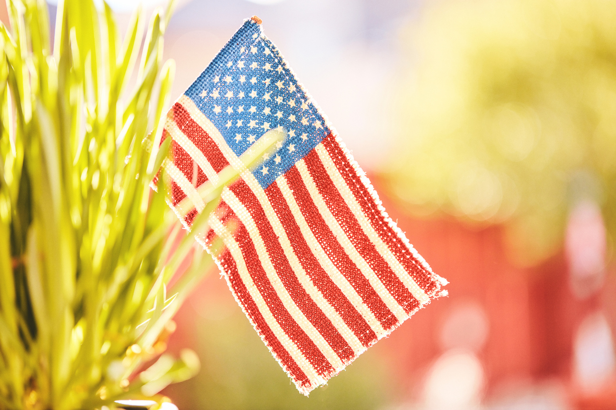 Patriotic American Flag in Nature for Memorial Day