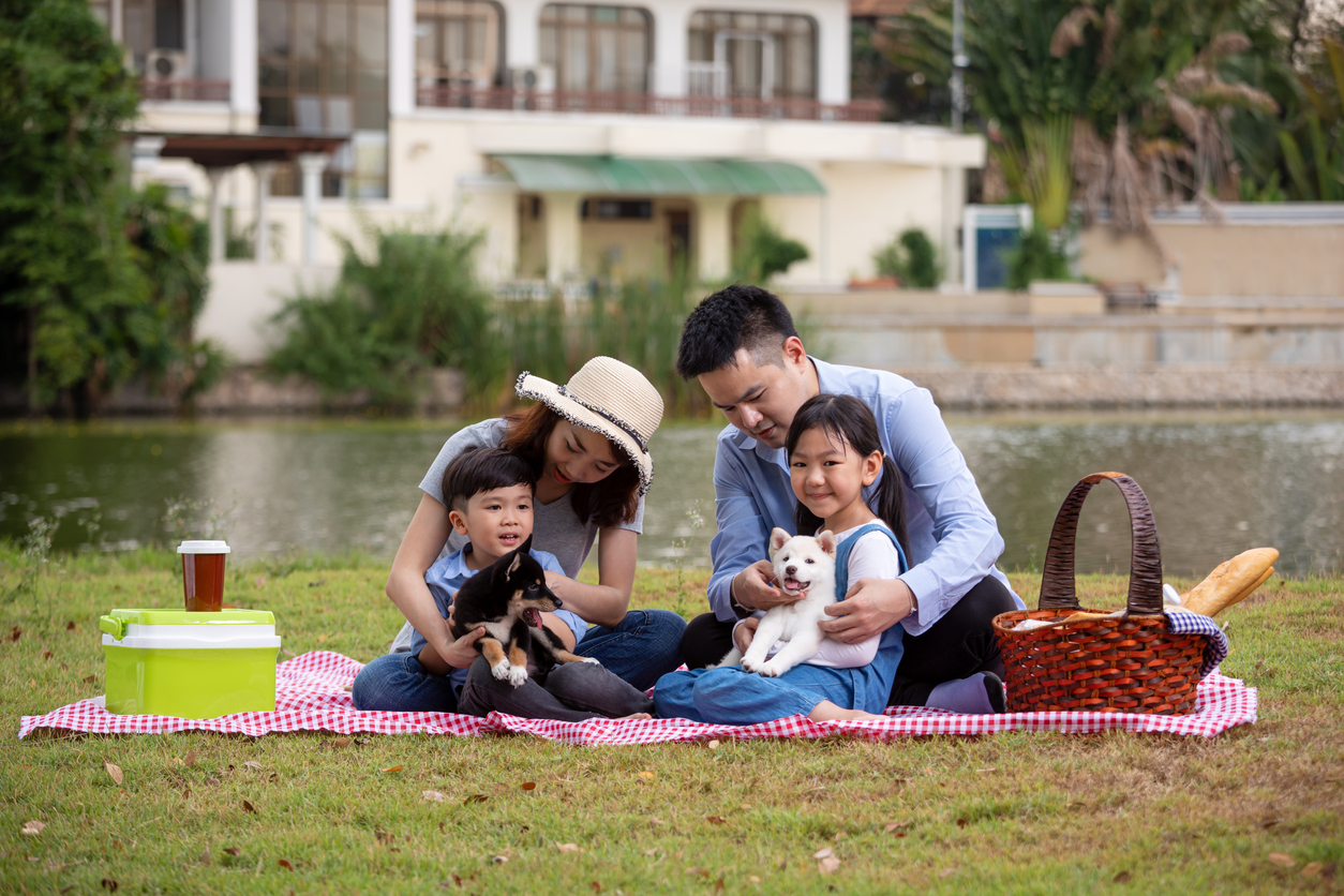 Asian family father mother and kids pinic together with Shiba inu dog on field near pond