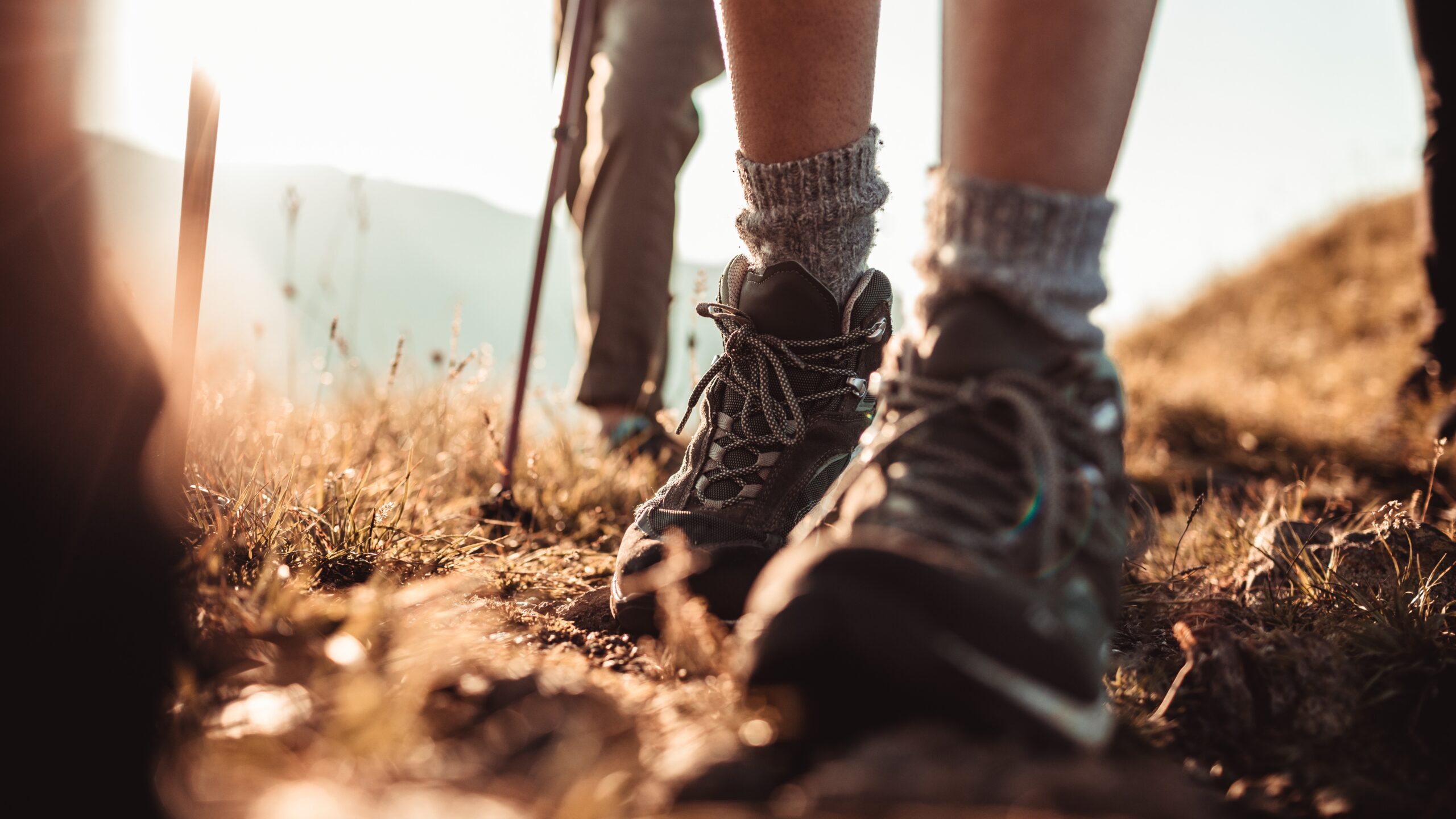 Hiking boots