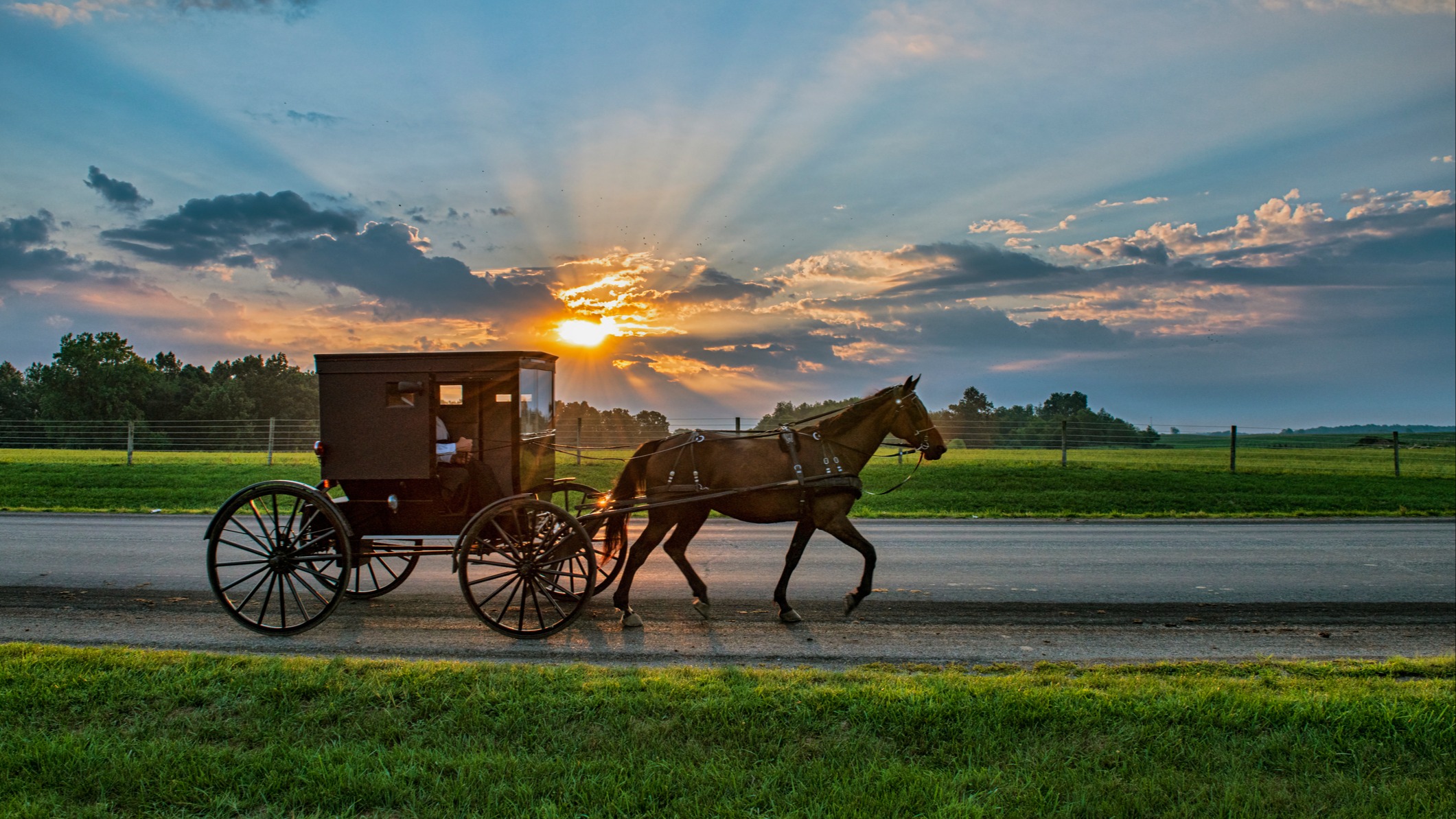 Amish