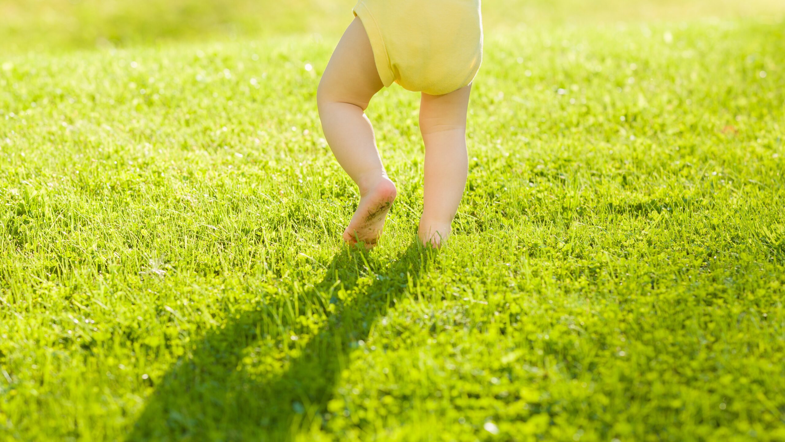 Toddler in yard