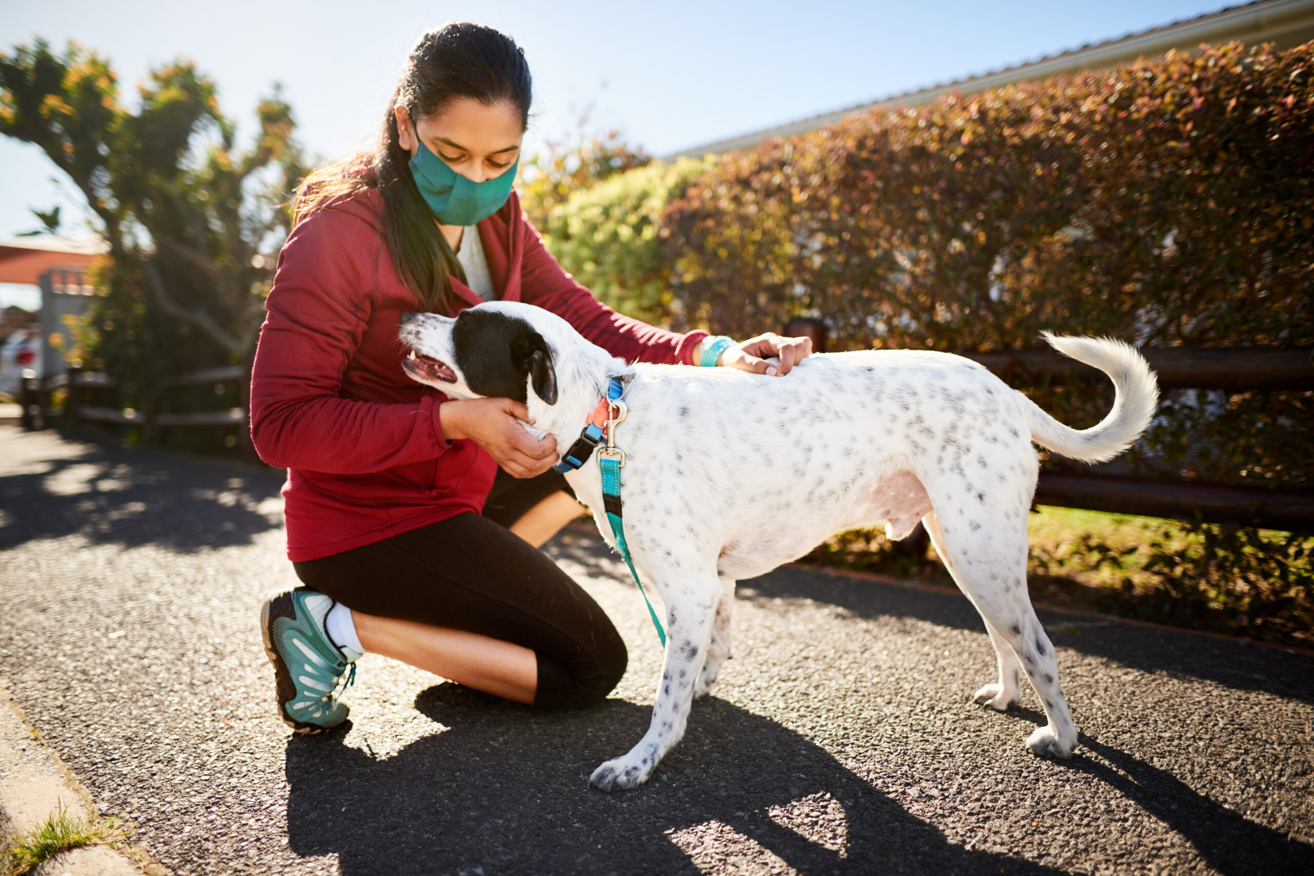 Young woman in a face mask petting her dog during a walk