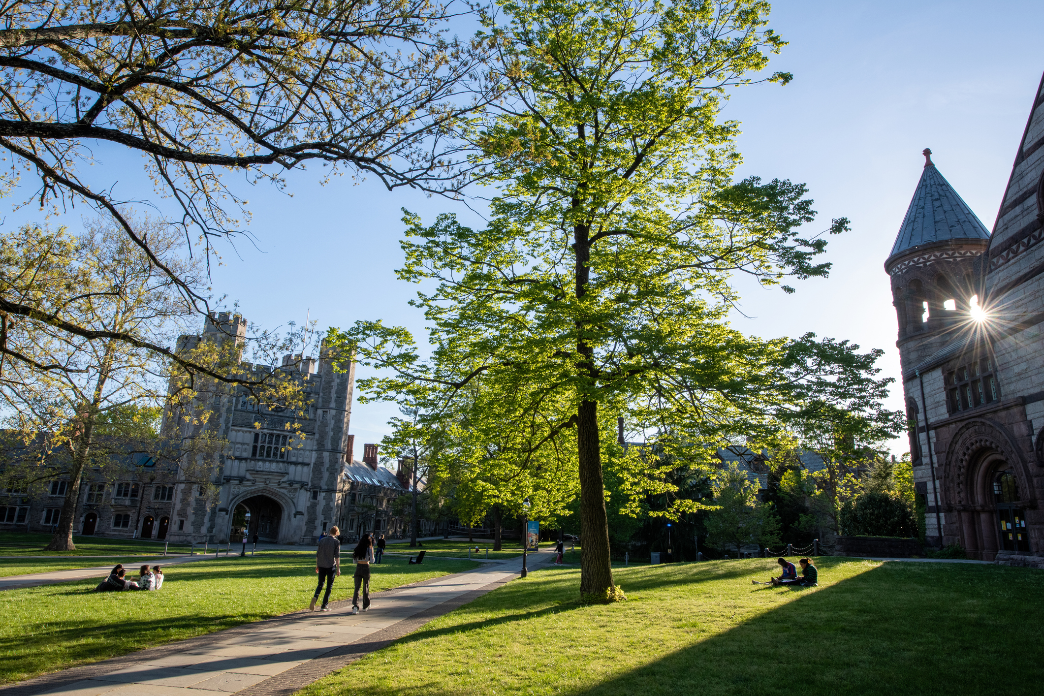 Princeton_University