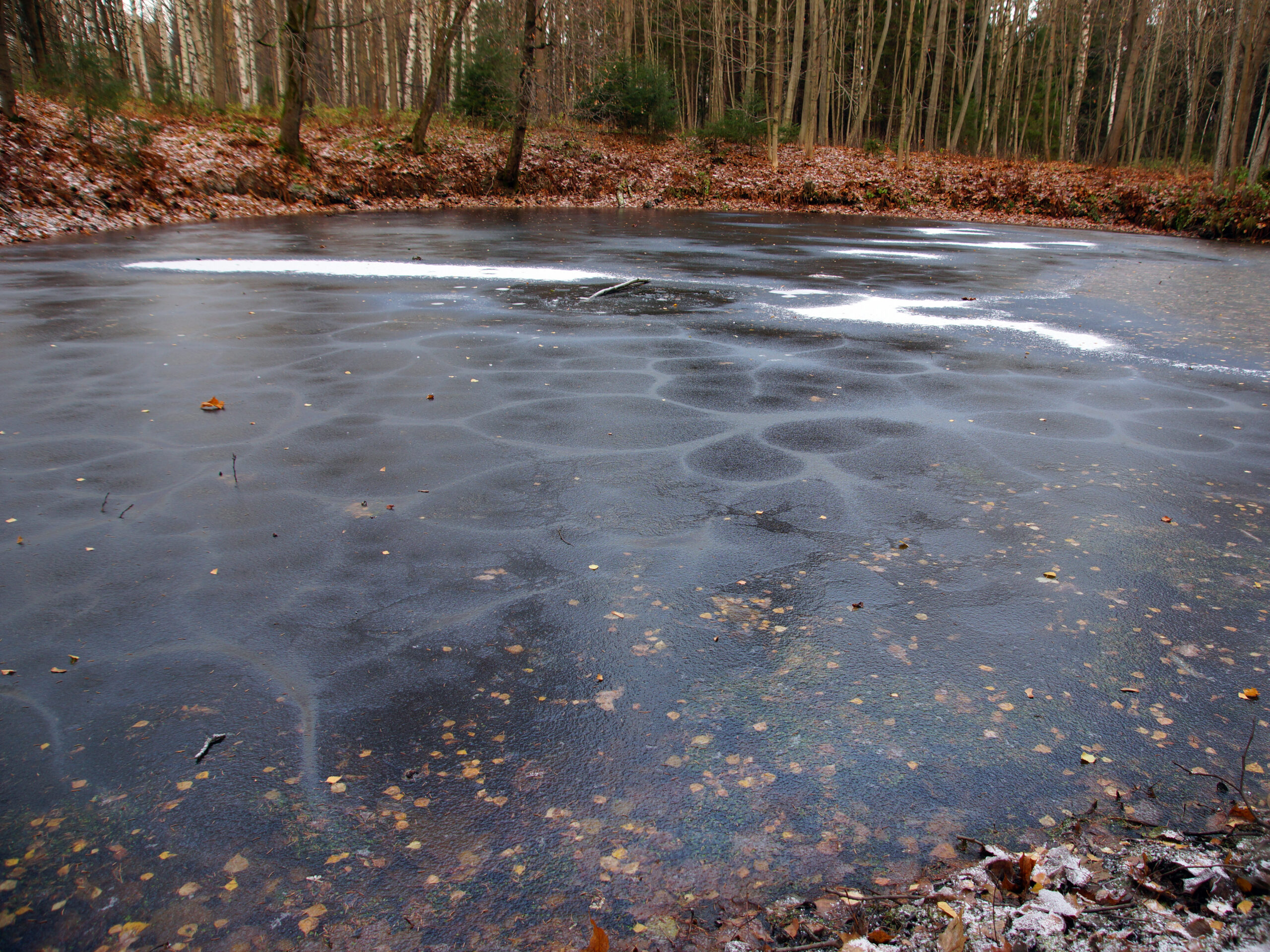 Frozen_Icy_Lake