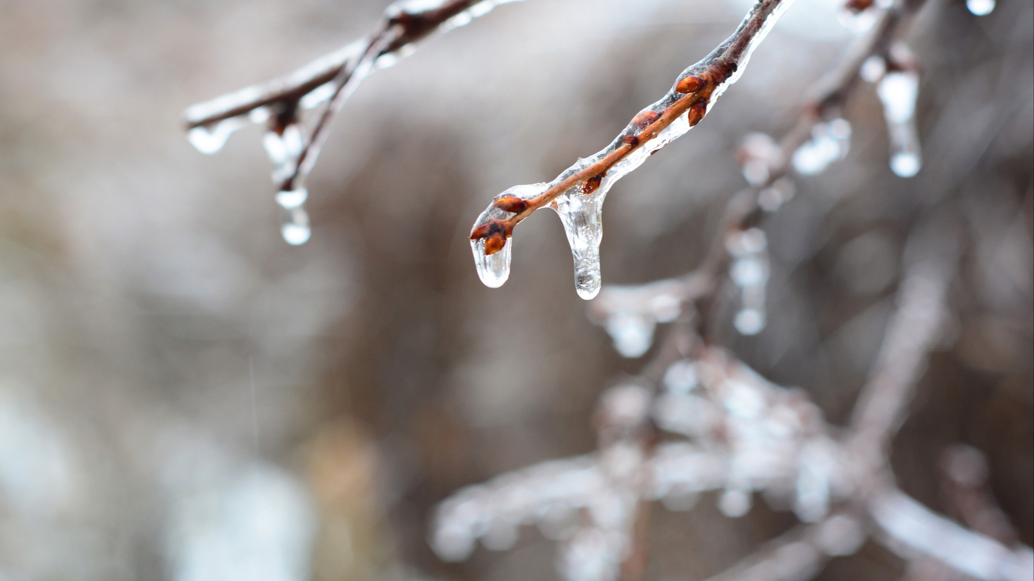 Ice storm