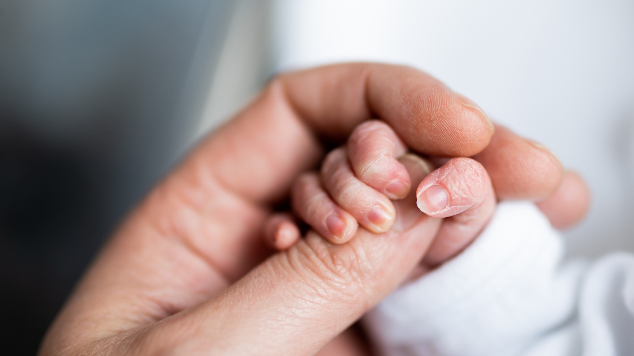 Newborn baby holding parent's hand