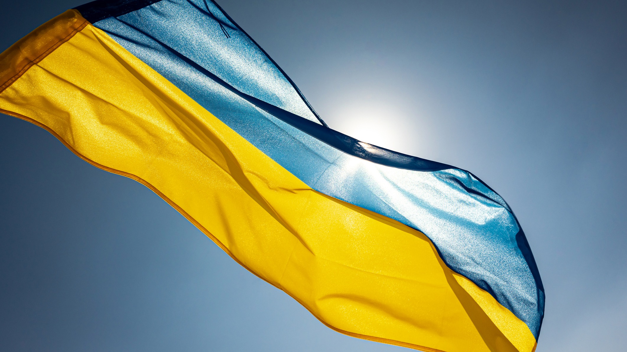 Ukraine flag