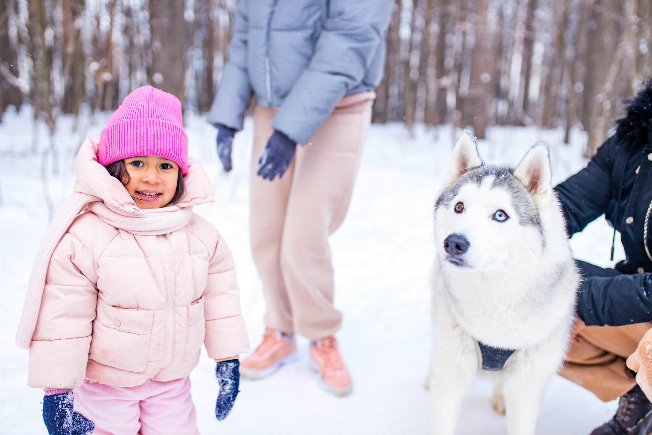 mixed race family in threesome spending new year holidays in park with their husky dog