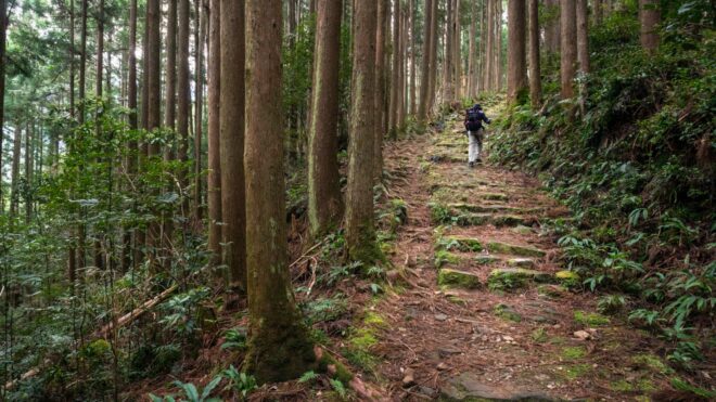 Hiking trail