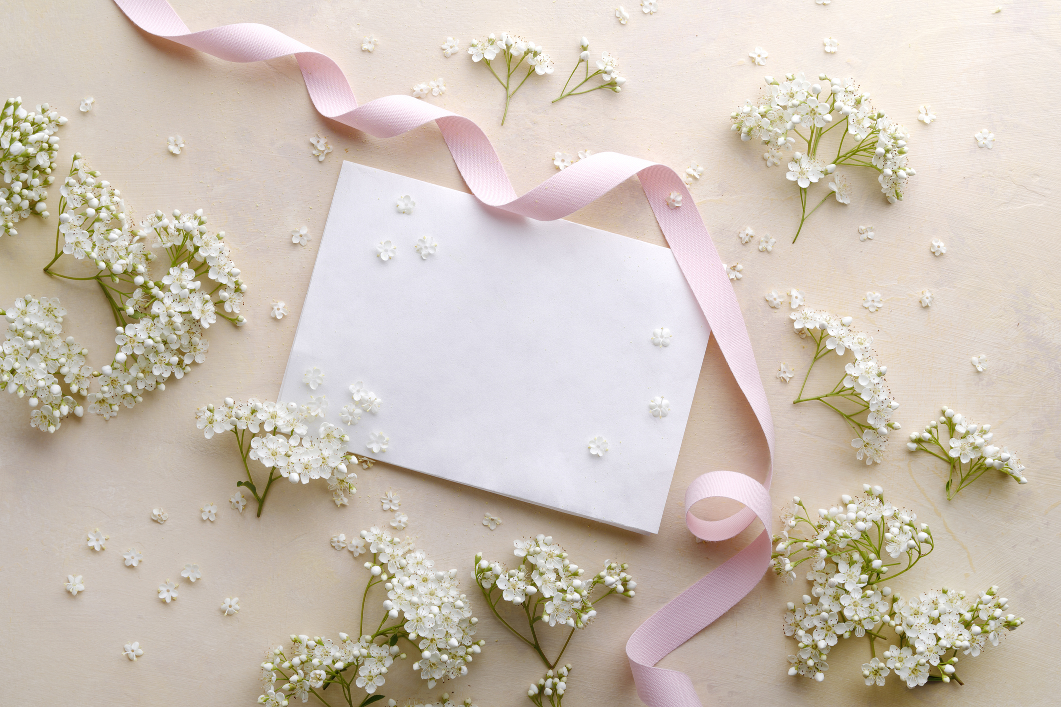 Invitation card with white flowers and ribbon