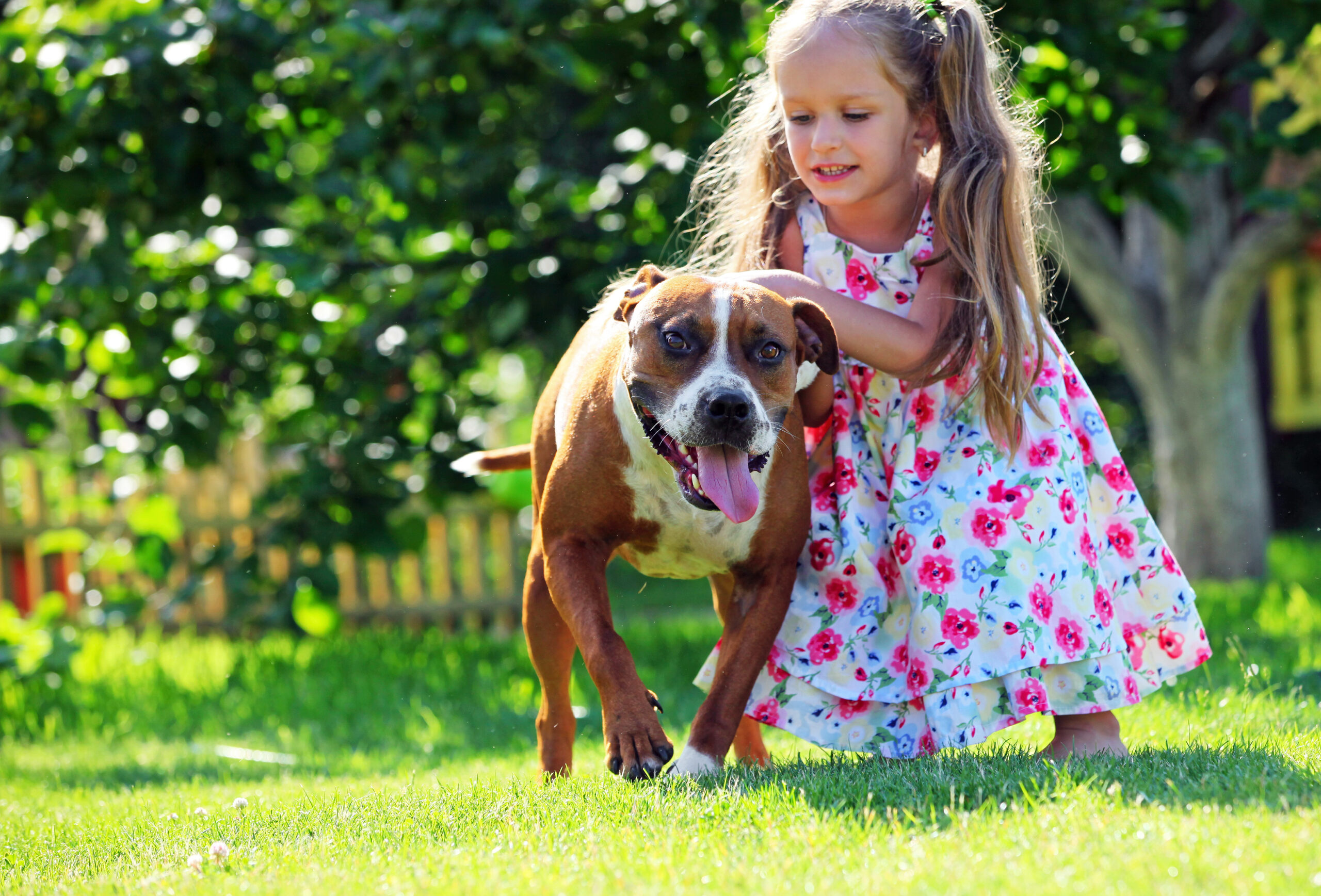 Cute four-year old girl playing with her dog